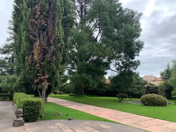 Terreno en venta en Cipres, Toluca — foto 2 de 14