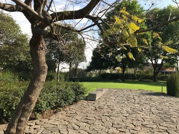 Casa en venta en Fuentes del Pedregal, Tlalpan — foto 3 de 13