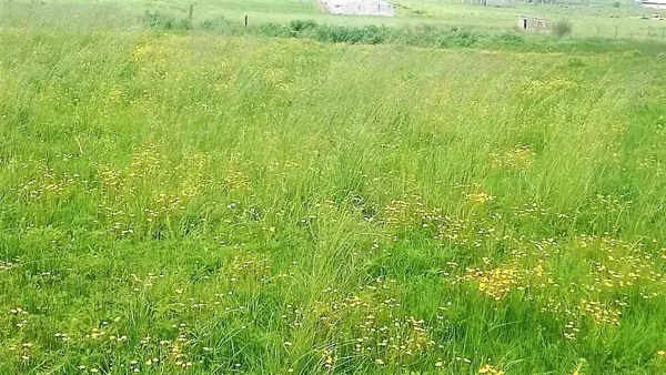 Terreno en venta en Chapa de Mota, Chapa de Mota — foto 3 de 4