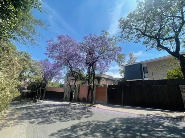 Casa en venta en Bosque de las Lomas, Miguel Hidalgo — foto 3 de 44
