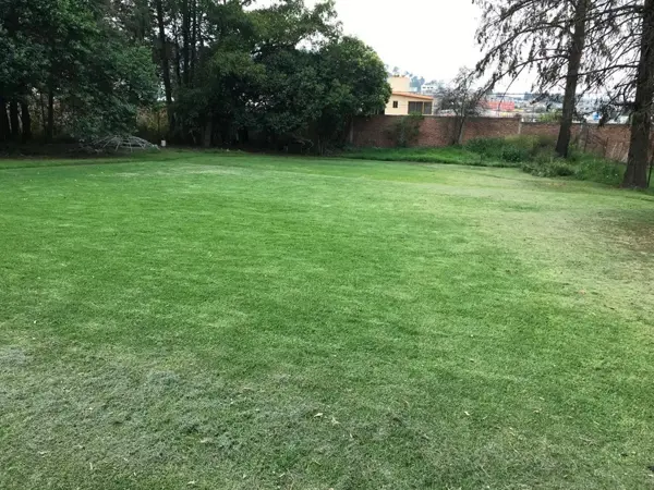 Terreno en venta en De los Chincolos, Tlalmanalco — foto 3 de 11