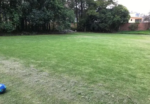 Terreno en venta en Barrio de los Chincolas, Tlamanalco, Estado de México.