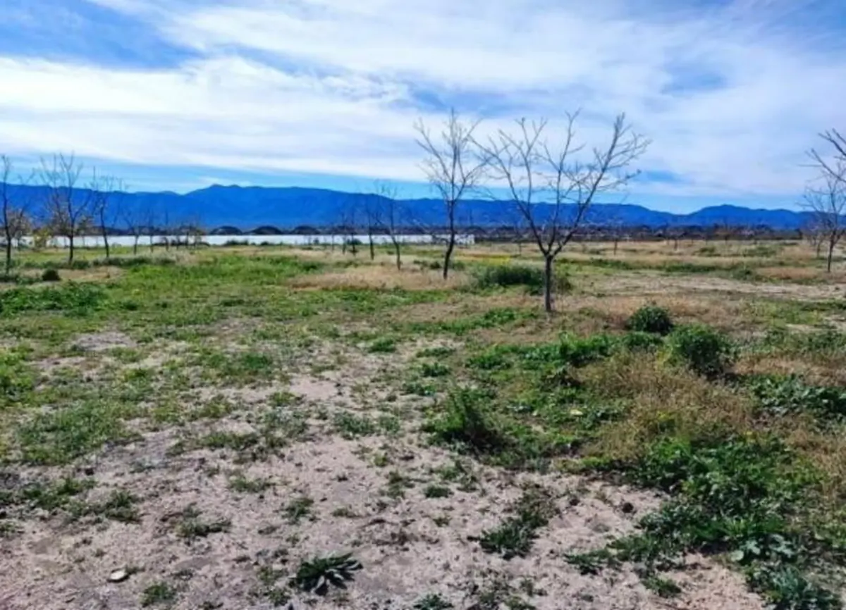 Finca-Rancho en venta en Parras de la Fuente Centro, Parras — foto 1 de 22