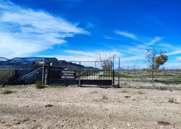 Finca-Rancho en venta en Parras de la Fuente Centro, Parras — foto 2 de 22