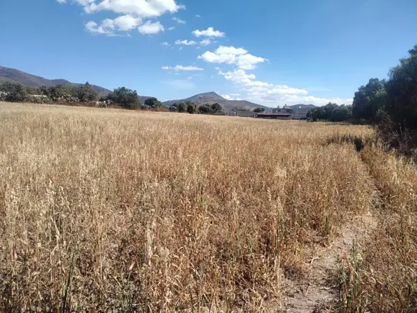 Terreno en venta en San Juan Tilcuautla, San Agustín Tlaxiaca — foto 2 de 6