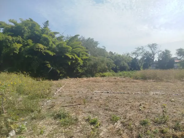 Terreno en venta en 20 de Noviembre, Zacatepec — foto 2 de 5