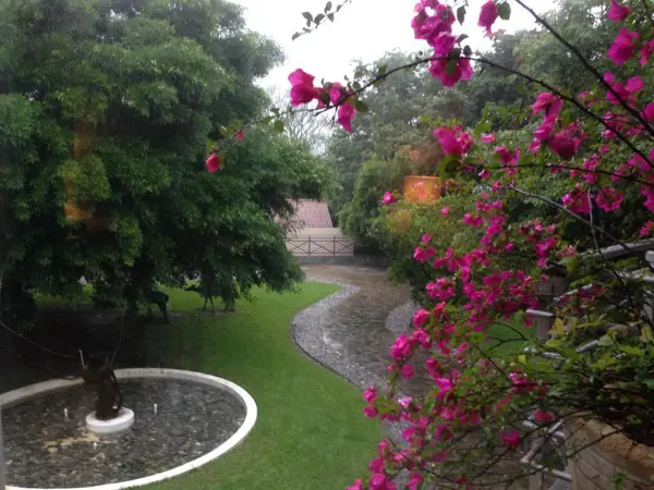 Terreno en Venta en Raíces, Allende, Nuevo León 2