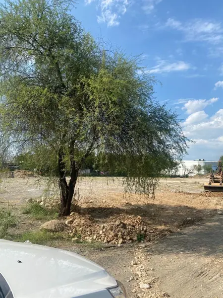 Terreno en Renta en Ciudad Benito Juárez Centro, Juárez, Nuevo León 5
