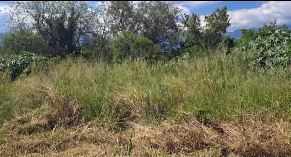 Terreno en Renta en Sección Buenavista, Allende, Nuevo León 2