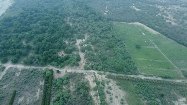 Terreno en Venta en Pueblo Nuevo (Tepehuaje), Cadereyta Jiménez, Nuevo León 2