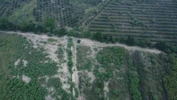 Terreno en Venta en Pueblo Nuevo (Tepehuaje), Cadereyta Jiménez, Nuevo León 4