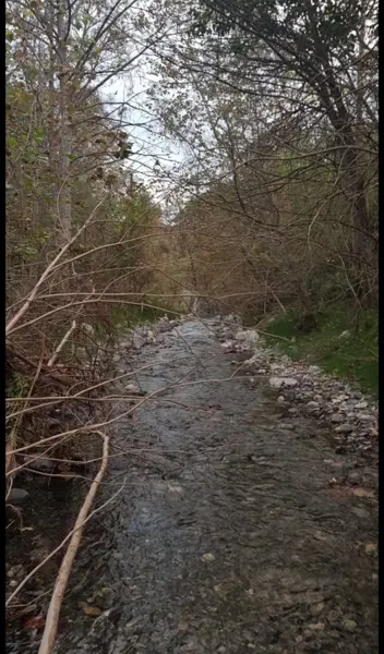 Terreno en Venta en Cañadas del Sur, Monterrey, Nuevo León 5