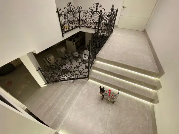 Casa en Renta en San Pedro Garza García Centro, San Pedro Garza García, Nuevo León 5