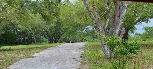 Terreno en Venta en Ciudad de Allende Centro, Allende, Nuevo León 2