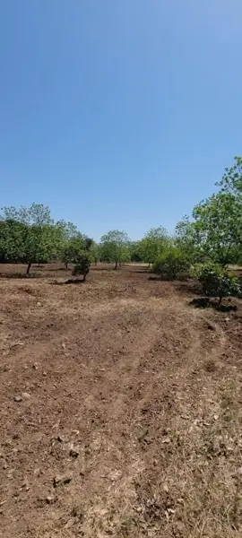 Quinta en Venta en Las Abras de Abajo, Cadereyta Jiménez, Nuevo León 2