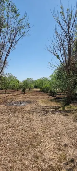 Quinta en Venta en Las Abras de Abajo, Cadereyta Jiménez, Nuevo León 4