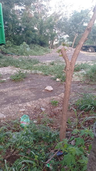 Terreno en venta en Las Bajadas, Veracruz — foto 3 de 3