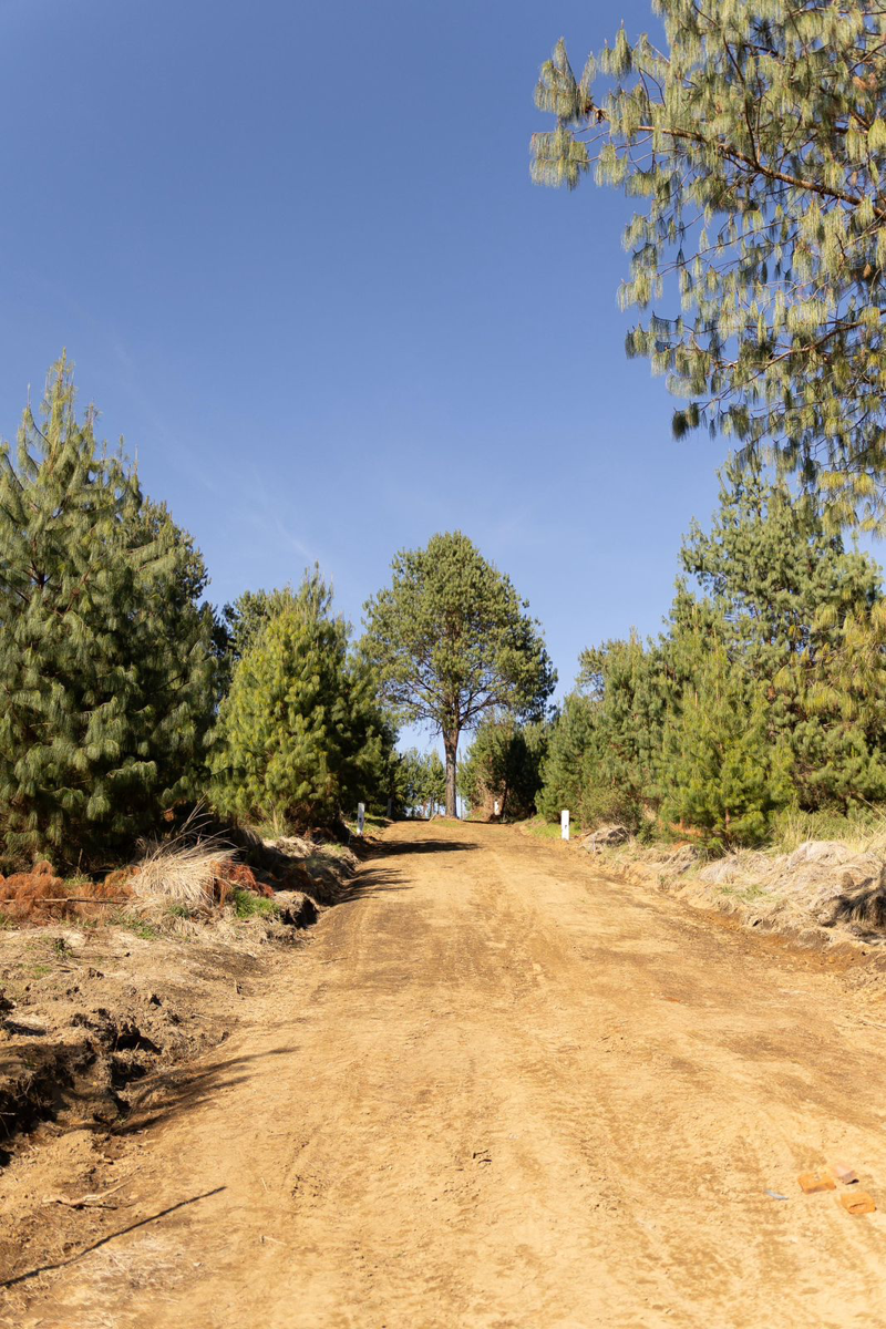 Finca-Rancho en venta en Atzingo (La Cumbre), Zacatlán — foto 1 de 13