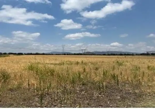 Terreno en venta en Campestre San Gil, San Juan del Río — foto 3 de 6
