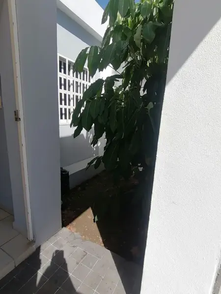 Casa en venta en Las Lagunas, Villa de Álvarez — foto 3 de 19