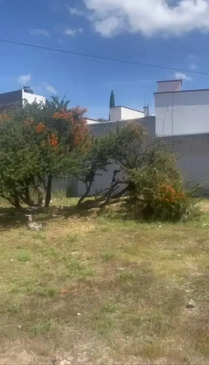 Terreno en venta en La Luz, San Miguel de Allende — foto 1 de 11