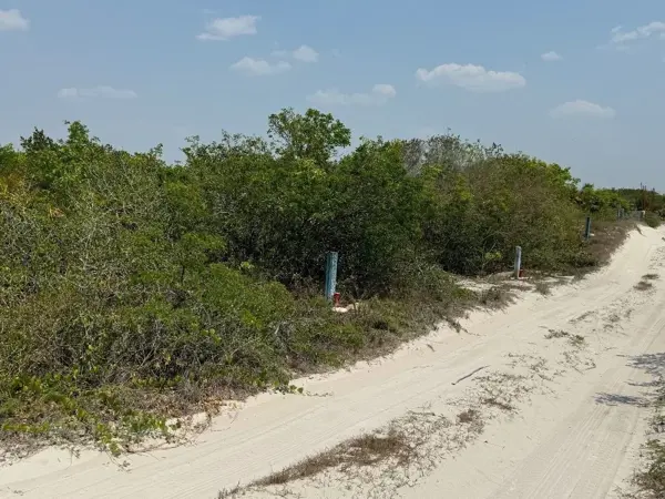 Terreno en venta en Xtampú, Dzemul — foto 3 de 6