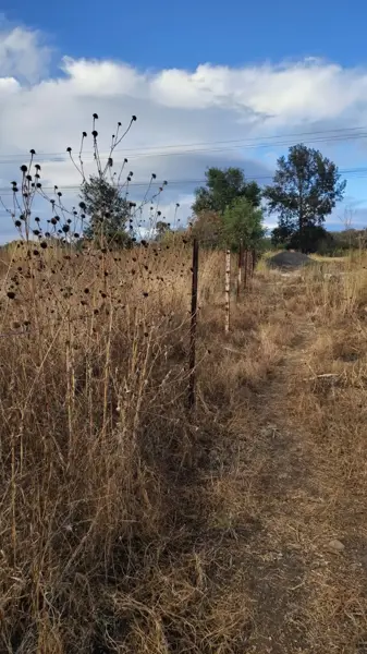 Terreno en venta en Tiripetío, Morelia — foto 2 de 2