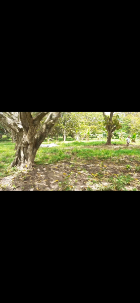 Terreno en venta en El Tejar, Medellín de Bravo — foto 3 de 5