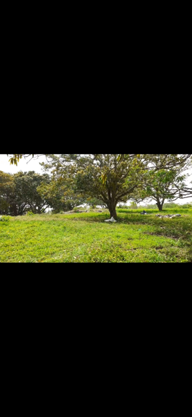 Terreno en venta en El Tejar, Medellín de Bravo — foto 2 de 5