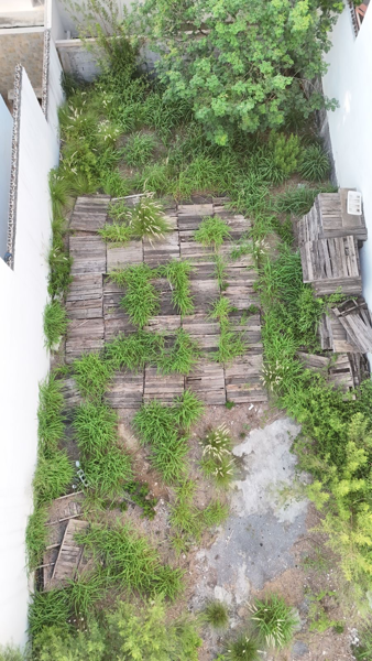 Terreno en venta en Cumbres Elite, Monterrey — foto 3 de 9