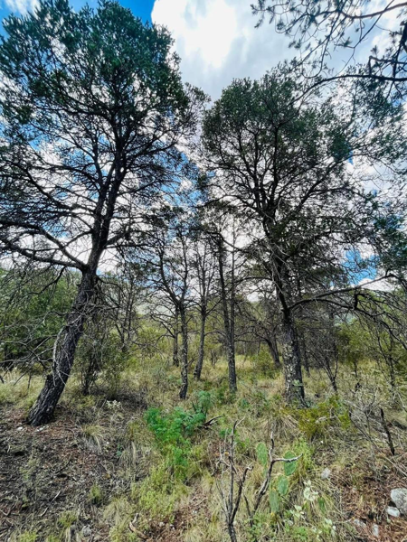 Terreno en venta en El Diamante, Arteaga — foto 3 de 6