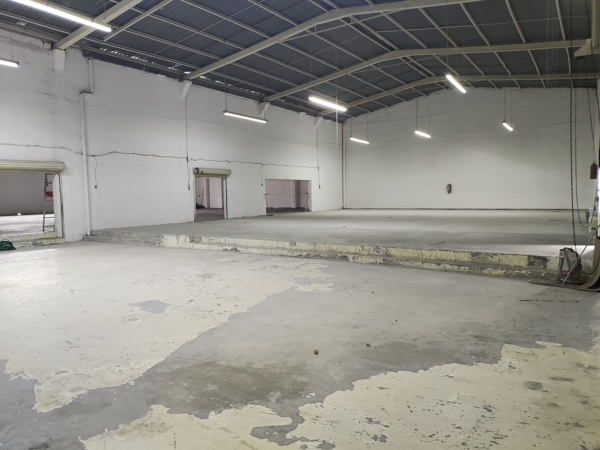 Bodega en renta en Anáhuac Campoamor, General Escobedo — foto 3 de 23
