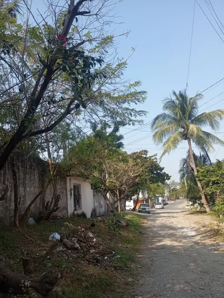 Terreno en venta en El Coyol, Veracruz — foto 3 de 4