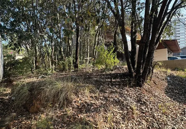 Terreno en venta en Bosque Monarca, Morelia — foto 2 de 4