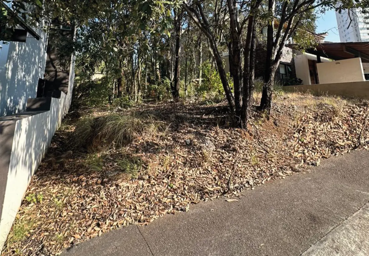 Terreno en venta en Bosque Monarca, Morelia — foto 1 de 4