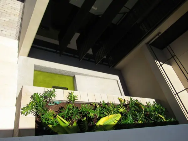Casa en renta en Tres Marías, Morelia — foto 3 de 25
