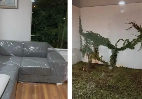 Casa en renta en Paseo del Parque, Morelia — foto 2 de 3