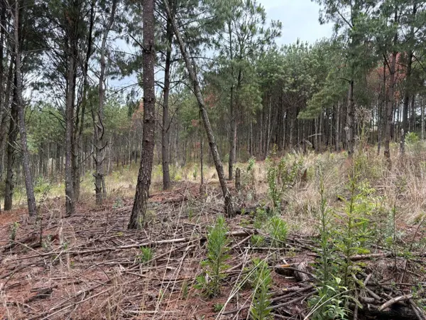 Terreno en venta en Salvador Escalante, Morelia — foto 3 de 5