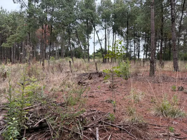 Terreno en venta en Salvador Escalante, Morelia — foto 2 de 5