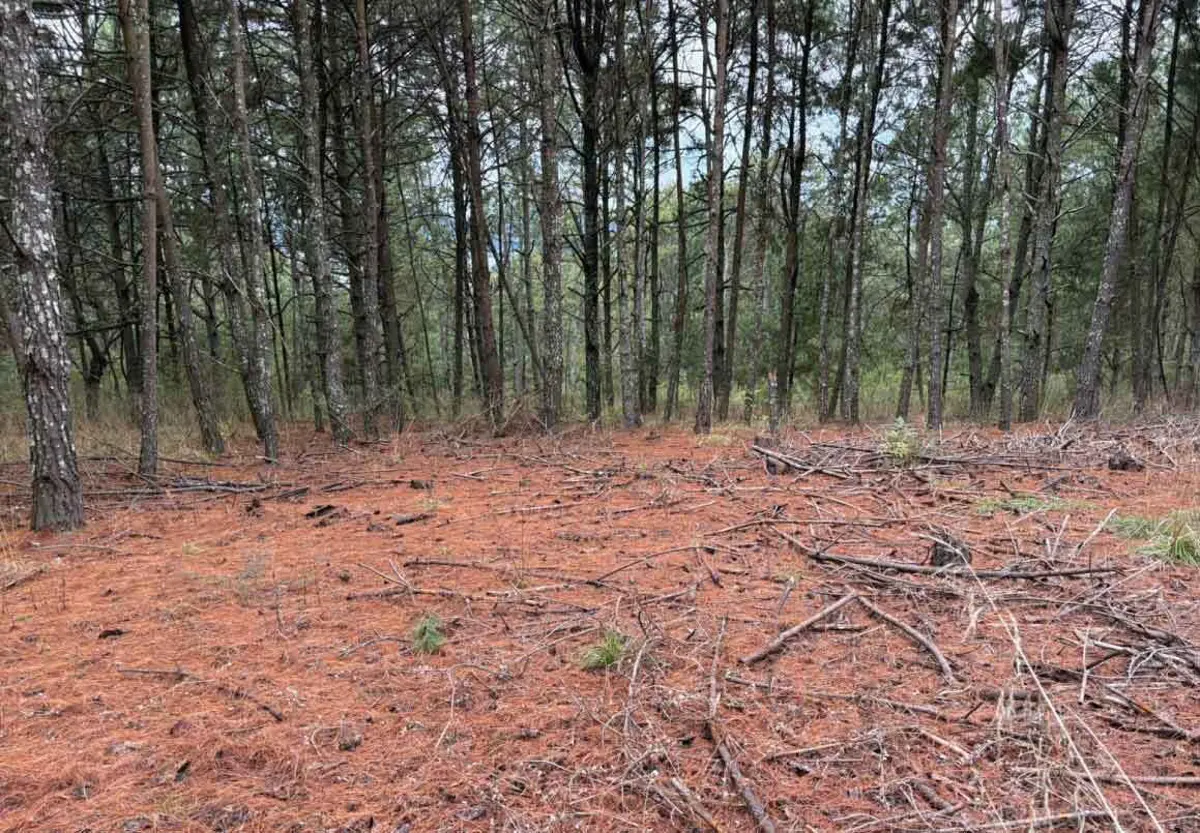 Terreno en venta en Salvador Escalante, Morelia — foto 1 de 5