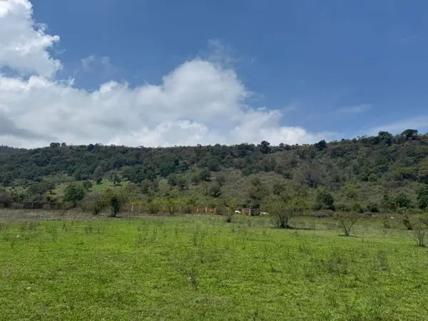Terreno en venta en Zitacuaro Centro, Zitácuaro — foto 3 de 7