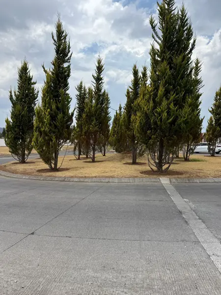 Terreno en venta en Jesus del Monte, Morelia — foto 3 de 3