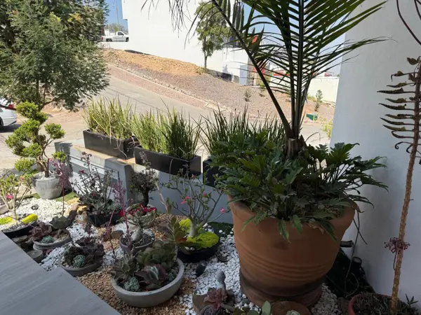 Casa en venta en Montaña Monarca I, Morelia — foto 2 de 19