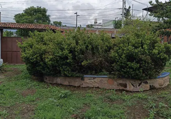 Terreno en venta en Santa Maria de Guido, Morelia — foto 3 de 3