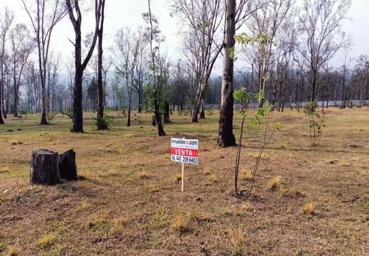 Terreno en venta en Morelia 450, Morelia — foto 1 de 2
