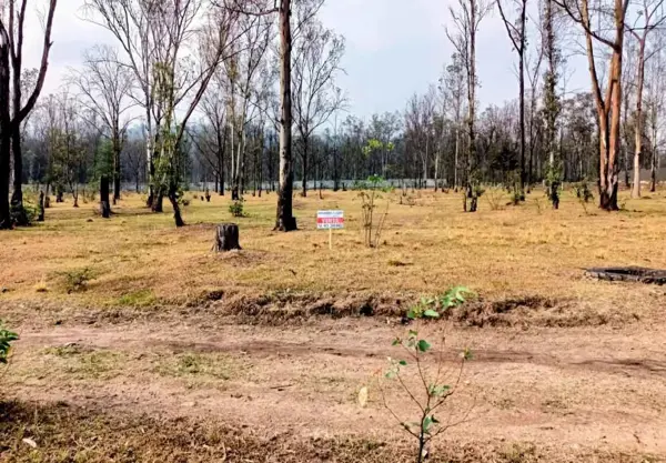 Terreno en venta en Morelia 450, Morelia — foto 2 de 2