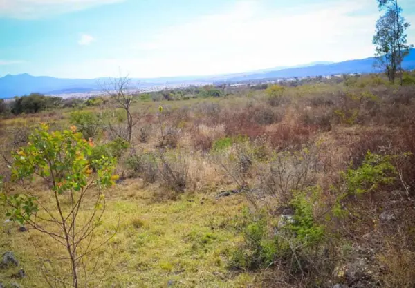 TERRENO EN VENTA Y EN RENTA EN SALIDA A QUIROGA, MORELIA