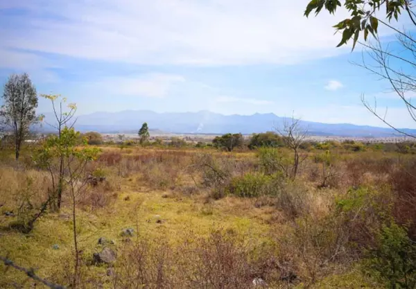 Terreno en renta en Villas del Pedregal, Morelia — foto 2 de 4