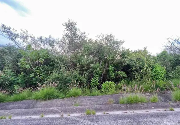 Terreno en venta en Bosque Monarca, Morelia — foto 2 de 4