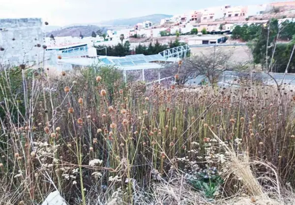 Terreno en venta en Bosques Tres Marias, Morelia — foto 2 de 2